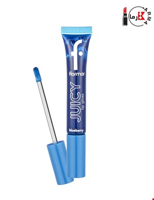 لیپ گلاس براق فلورمار جویسی شماره 04 بلوبری حجم 10 گرم | Flormar Juicy Lip Gloss 004 Blueberry 10g